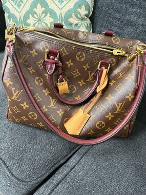 Louis Vuitton Speedy 30 Soft Celebration